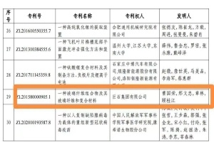 嘉兴首金！18LUCK集团摘得中国专利奖金奖