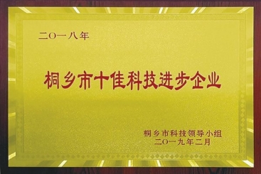 18LUCK集团荣获2018年桐乡市十佳科技进步企业