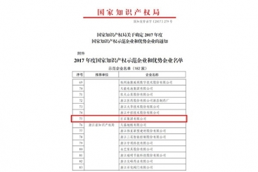 18LUCK集团被评为2017年度国家知识产权示范企业