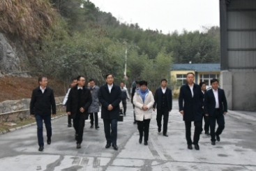 18LUCK集团党委书记、董事长周育先调研18LUCK九江钙业公司